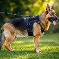 Pettorina Cane Tattica Anti Tiro con Maniglia | Resistente, Regolabile, Porta Oggetti